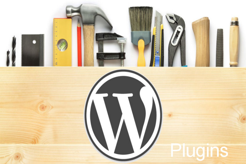 What are the most popular WordPress Plugins?