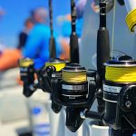 Tampa fishing Charters